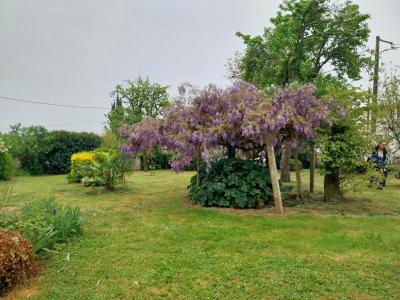 Acheter Maison 115 m2 Saint-hilaire-de-villefranche