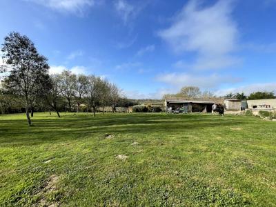 Annonce Vente 7 pices Maison Saint-viaud 44