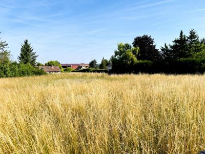For sale Grandes-chapelles 1420 m2 Aube (10170) photo 1