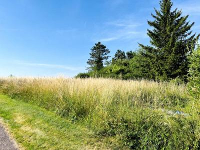 For sale Grandes-chapelles 1420 m2 Aube (10170) photo 2