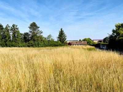 For sale Grandes-chapelles 1420 m2 Aube (10170) photo 3