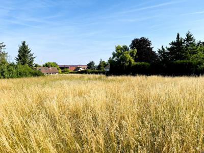For sale Grandes-chapelles 1420 m2 Aube (10170) photo 4