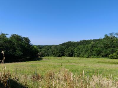 For sale Pontonx-sur-l'adour 4 rooms 84 m2 Landes (40465) photo 0