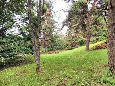 For sale Besse-et-saint-anastaise 2028 m2 Puy de dome (63610) photo 1