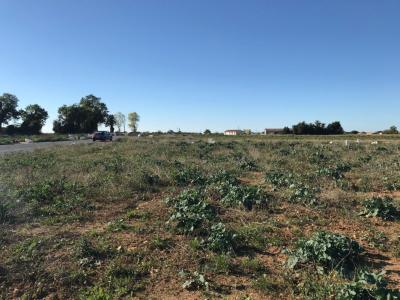 For sale Ballon 525 m2 Charente maritime (17290) photo 0