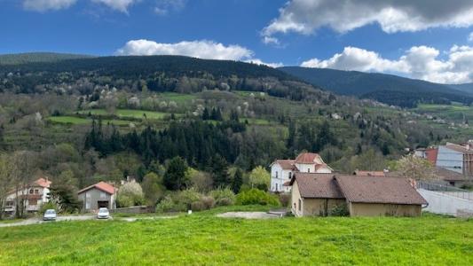 Annonce Vente Terrain Saint-sauveur-en-rue 42