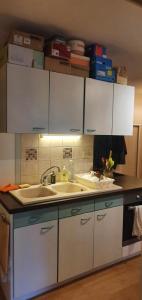Annonce Location 2 pices Appartement Aix-les-bains 73
