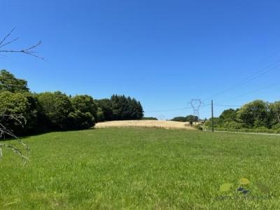 Annonce Vente 3 pices Maison Saint-salvadour 19