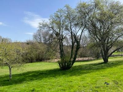 Acheter Maison 140 m2 Affieux
