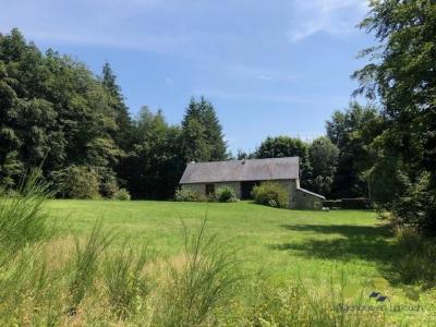For sale Viam 5 rooms 100 m2 Correze (19170) photo 0