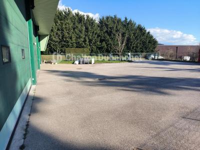 For sale Saint-just-la-pendue 550 m2 Loire (42540) photo 2