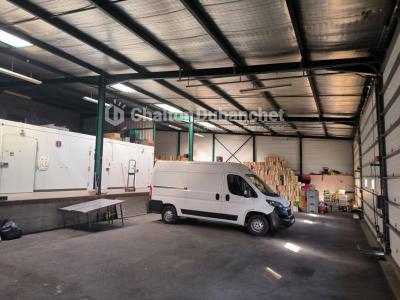 For sale Saint-just-la-pendue 550 m2 Loire (42540) photo 3