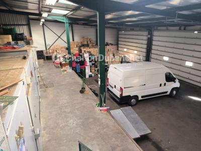 For sale Saint-just-la-pendue 550 m2 Loire (42540) photo 4
