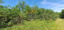 Vente Terrain Montdurausse 1428 m2