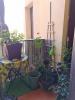 For sale Apartment Ceret CENTRE DU VILLAGE 39 m2 2 pieces