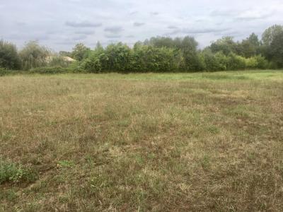 For sale Gauriaguet 695 m2 Gironde (33240) photo 0
