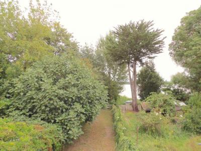 For rent Ambes 2 rooms 44 m2 Gironde (33810) photo 0