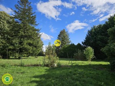 Annonce Vente 10 pices Maison Ourouer-les-bourdelins 18