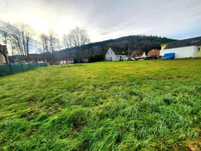 For sale 606 m2 Bas rhin (67130) photo 0