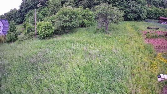 For sale Russ 755 m2 Bas rhin (67130) photo 2