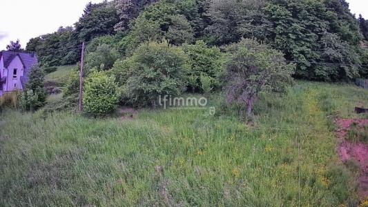 For sale Russ 755 m2 Bas rhin (67130) photo 4
