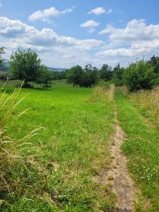 Annonce Vente Terrain Fleurey-les-faverney 70