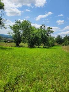 Acheter Terrain 3070 m2 Fleurey-les-faverney