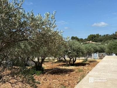 For sale Mornas 5 rooms 160 m2 Vaucluse (84550) photo 2