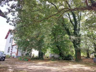For sale Bascons 8 rooms 165 m2 Landes (40090) photo 1