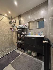 Acheter Appartement Noisy-le-sec 175000 euros
