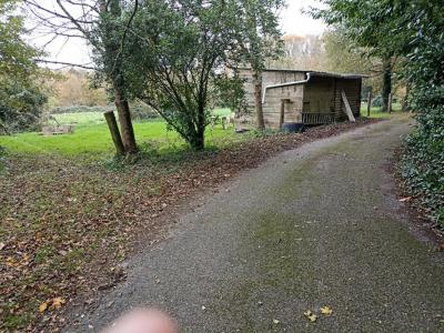 For sale Plouay 12 rooms 263 m2 Morbihan (56240) photo 3
