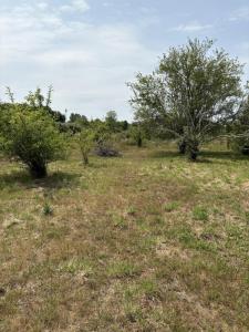 Annonce Vente Terrain Billaux 33
