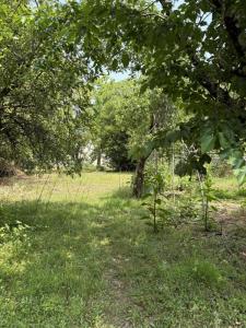 Acheter Terrain 4500 m2 Billaux