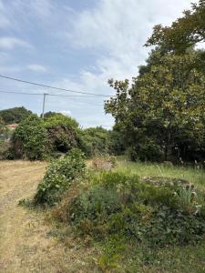 Acheter Terrain Billaux Gironde