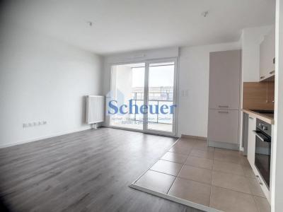 Annonce Location 2 pices Appartement Molsheim 67