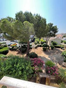 Acheter Appartement 78 m2 Agde