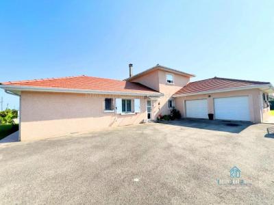 Annonce Vente Prestige Grand-lemps 38