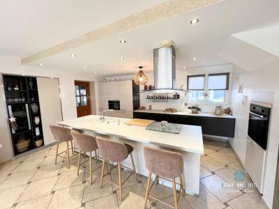 Acheter Prestige Grand-lemps 520000 euros