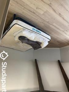 For rent Havre 2 rooms 40 m2 Seine maritime (76600) photo 4