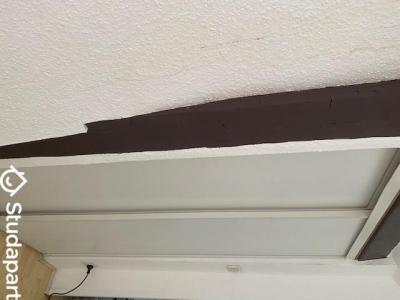 Louer Appartement Strasbourg 550 euros
