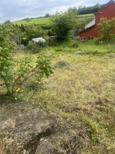 Acheter Maison 110 m2 Aillevillers-et-lyaumont