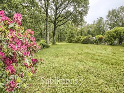 Acheter Maison 133 m2 Merlevenez