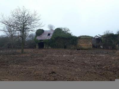 Annonce Vente Terrain  41