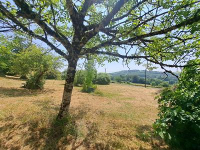 For sale Segonzac 5 rooms 198 m2 Correze (19310) photo 4