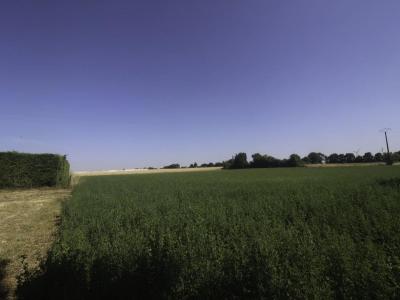 For sale Nachamps 4397 m2 Charente maritime (17380) photo 2