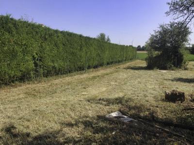 For sale Nachamps 4397 m2 Charente maritime (17380) photo 3