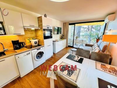 Acheter Appartement Cannes Alpes Maritimes