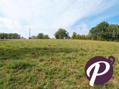 Acheter Terrain 3777 m2 Monsac