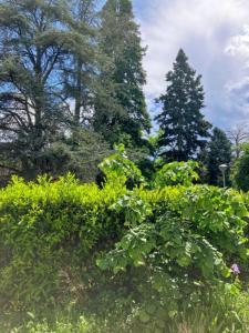 For sale Tassin-la-demi-lune 2 rooms 35 m2 Rhone (69160) photo 1