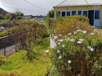 Annonce Location Maison Plaine-des-cafres 974